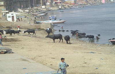 Varanasi