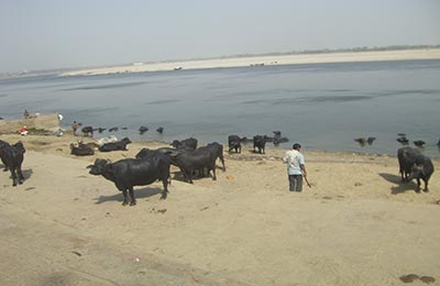 varanasi