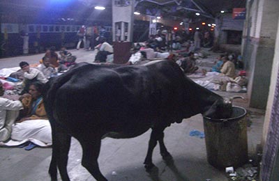 Varanasi