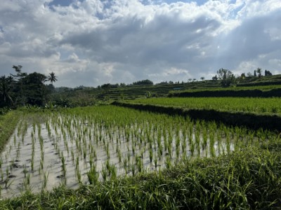 Bali