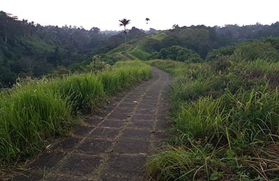 Bali