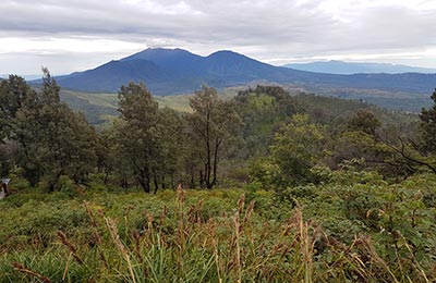 Volcanes Bromo e Ijen