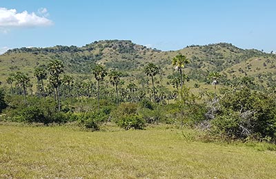 Isla de Flores