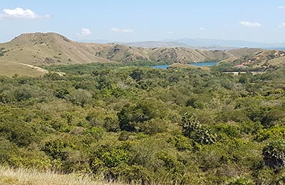 Isla de Flores