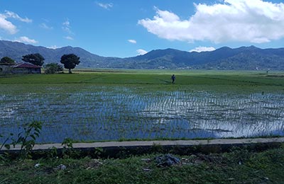 Isla de Flores