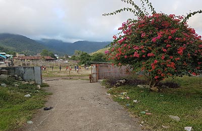 Isla de Flores