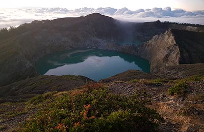 Isla de Flores