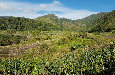 Isla de Flores