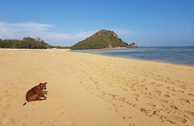 Lombok