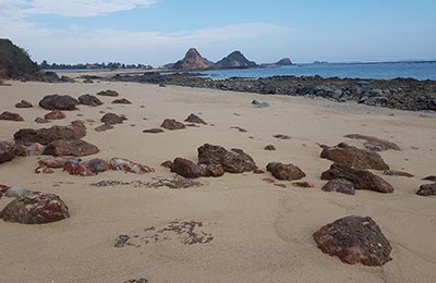 Lombok