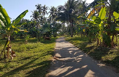 Lombok