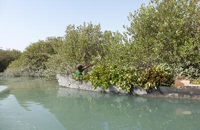 Qeshm y Hormuz