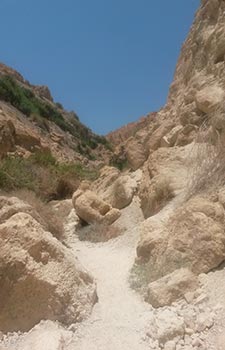 Masada y Ein Gedi