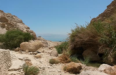 Masada y Ein Gedi