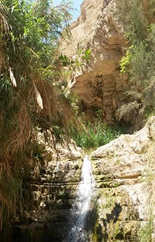 Masada y Ein Gedi