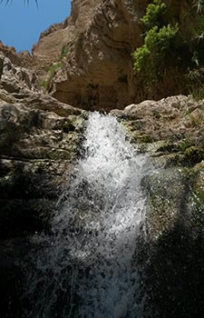 Masada y Ein Gedi