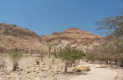 Masada y Ein Gedi