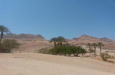 Masada y Ein Gedi