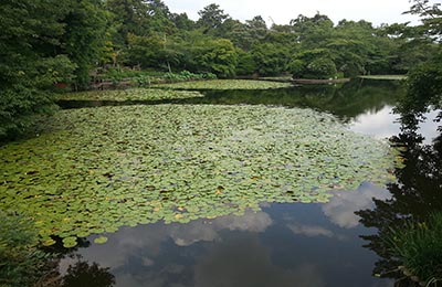 kyoto