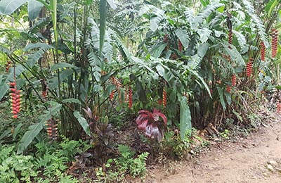 Luang Prabang