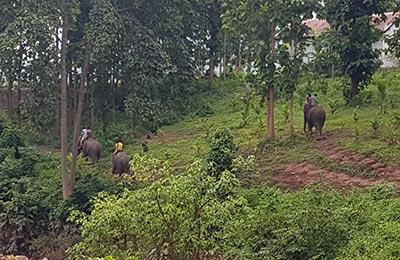 Luang Prabang