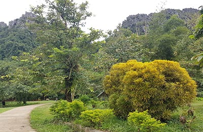 Vang Vieng