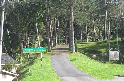 Cameron Highlands