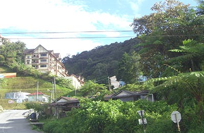 Cameron Highlands