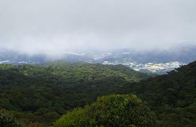 Cameron Highlands