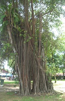 Kuala Lumpur