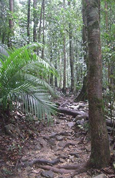 Langkawi