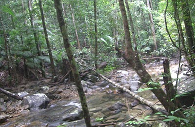 Langkawi