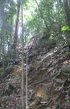 langkawi