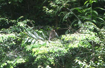 Langkawi