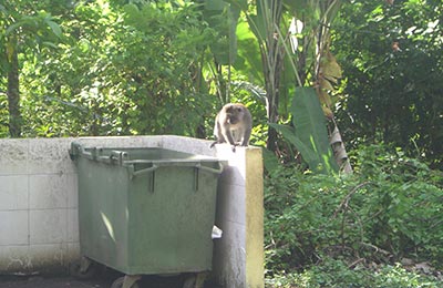 Langkawi