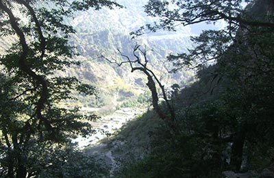 Annapurnas