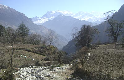 Annapurnas