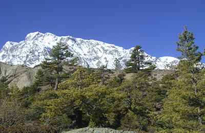 Annapurnas