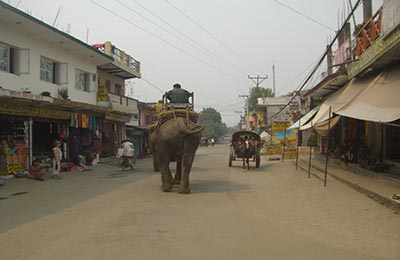 chitwan