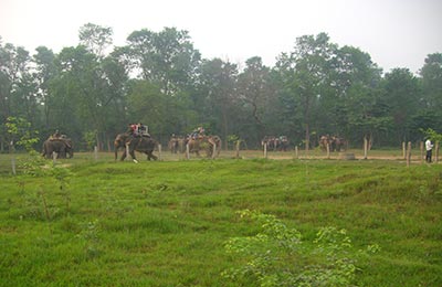 Chitwan