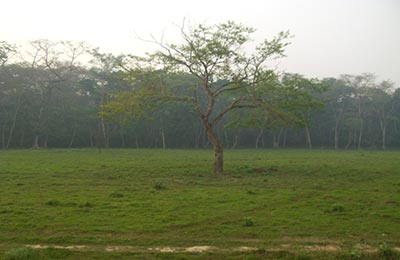 Chitwan