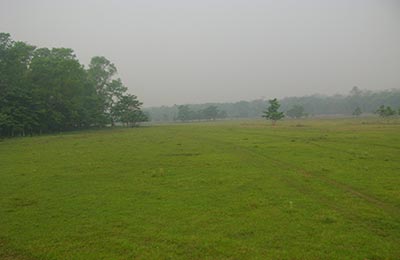 Chitwan