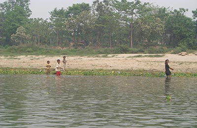 chitwan