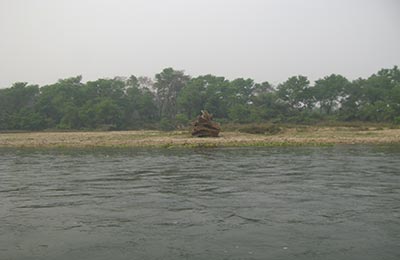 Chitwan