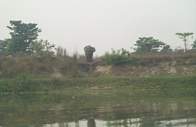 Chitwan