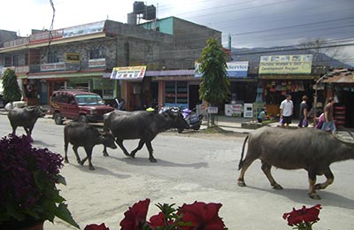 Pokhara