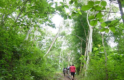 Chiang Mai