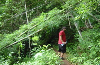 Chiang Mai