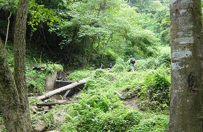 Chiang Mai