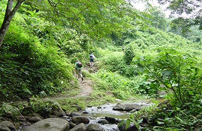 Chiang Mai